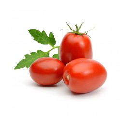 Томат кустовой